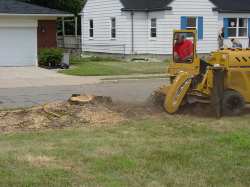 ./Gallery/2011 Bennet Lot Tree Removal/DSC06467.JPG